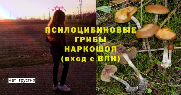 марки nbome Магас