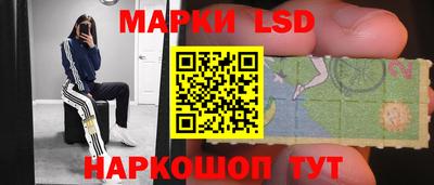 СК Абакан