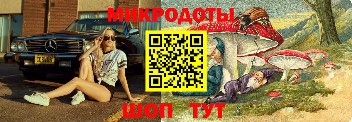 Кубинка  Псилоцибиновые грибы Magic Shrooms  Вход с VPN  Галлюциногенные грибы Psilocybe 