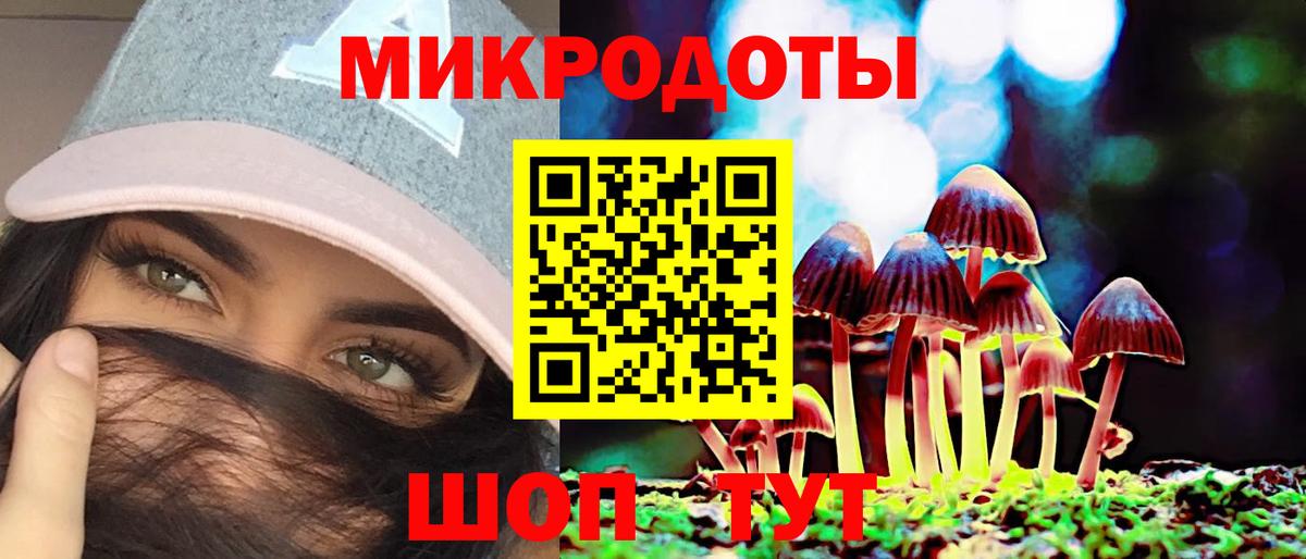 Галлюциногенные грибы Psilocybe Кубинка