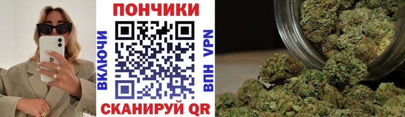 Канабис ГИДРОПОН Кубинка