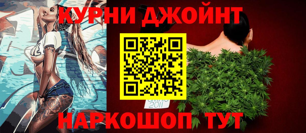 Бошки Шишки план Кубинка